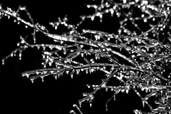 Icy Magic by Deb Oppermann